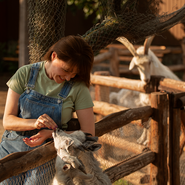 Une femme caresse une chèvre dans un enclos au Zoo Granby.